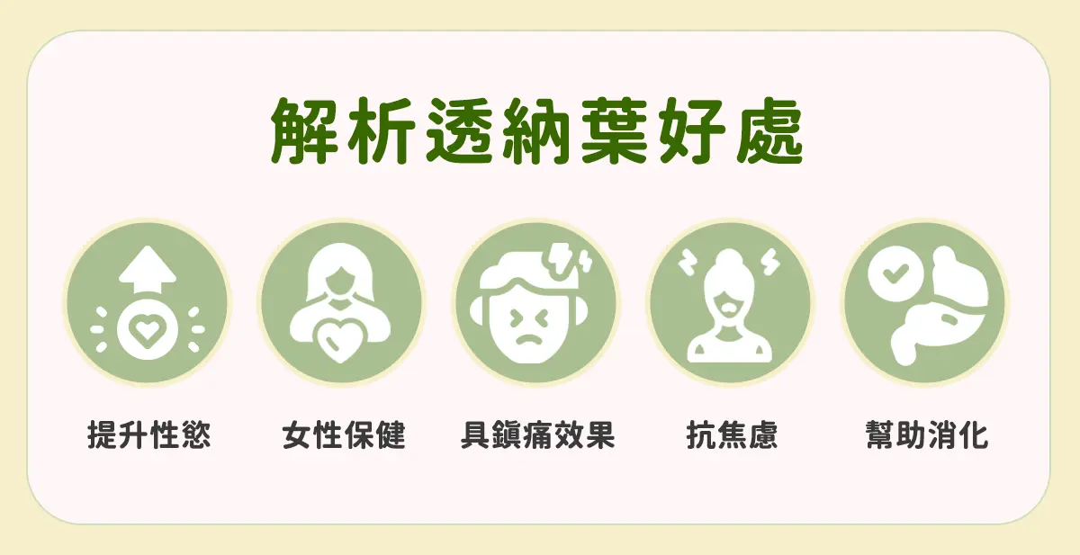 解析透納葉好處