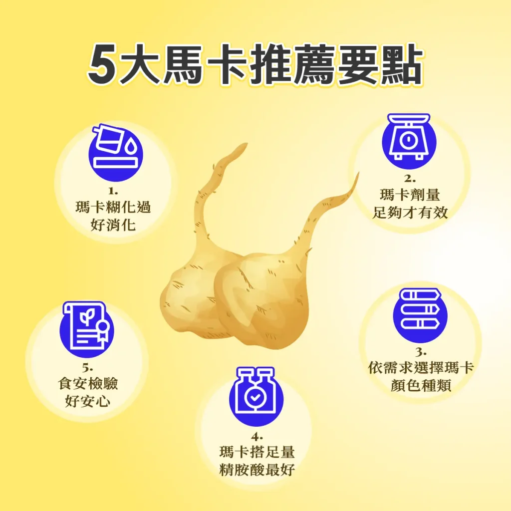 5大馬卡推薦要點