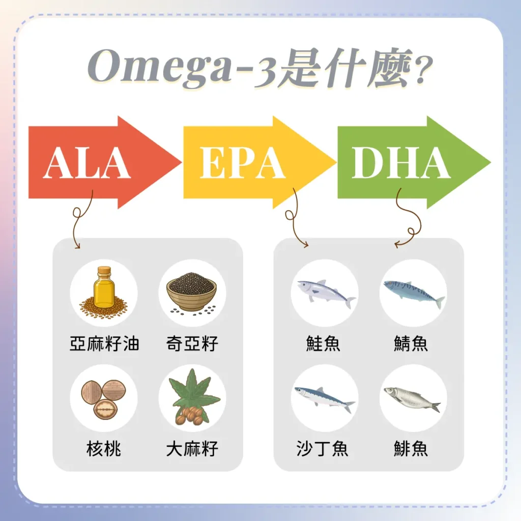 Omega-3是什麼