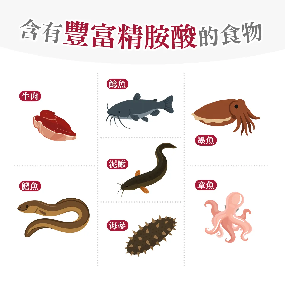 含有豐富精胺酸的食物