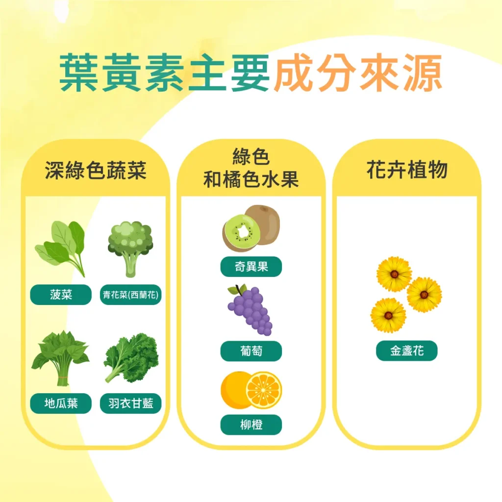葉黃素主要成分來源